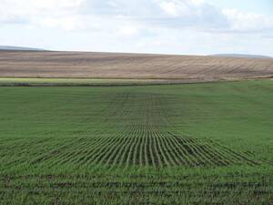 Ba3356 820 Has. Agricola Matienzo Pieres Loberia