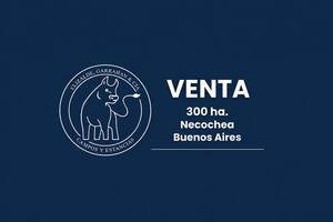 BA3706 venta 308 ha. agricola Necochea