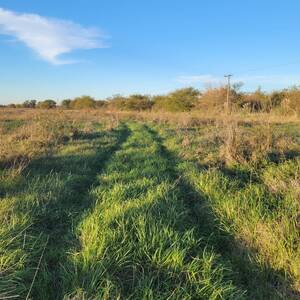 BA3726 VENTA 214 ha. Lujan Buenos Aires