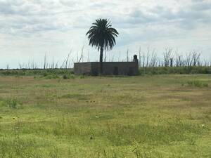 Vendo Campo En Cordoba Balnearia 850 Has Bien Ganadero