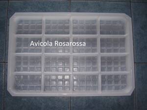 Bandeja Plastica Comedero Bb