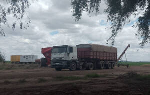 Batea Vuelco Trasero Enganchado Con Iveco Cursor 310