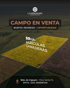 Bdo de Irigoyen 50 Has. Agrícola-ganadero. Campo en Venta.