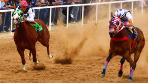 Bs As Lujan Haras 70 Ha