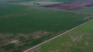 Vendo Campo En Córdoba Cintra 210 Has Agricolas S Iv