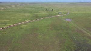 Vendo Campo Córdoba La Cesira Al Sur Sobre Ruta 3