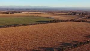 Vendo Campo En Córdoba La Cruz 82 Has Agrícolas Mixtas