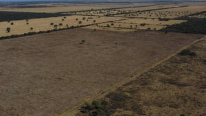 Vendo Campo En Córdoba La Posta 68 Has Agricolas
