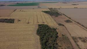 Vendo Campo En Córdoba Maquinista Gallini