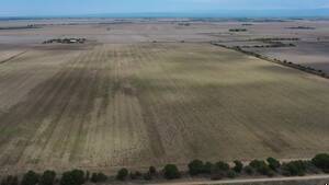 Vendo Campo En Córdoba 80 Has Toledo Rio Segundo