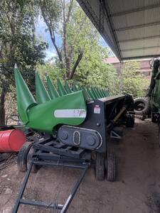 maicero ombu 16 a 52 año 2024