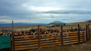 Campo 10.040 Has Calafate Santa Cruz Patagonia