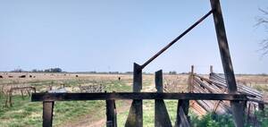 Campo 177 Has. Saladillo . Sobre Rn 205