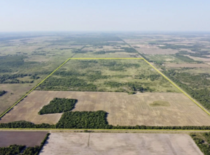 Campo 194 Has. San Bernardo Chaco