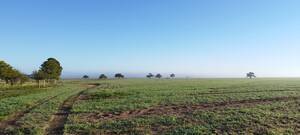 Campo 2.500 Has. Depto Hucal, Provincia de La Pampa