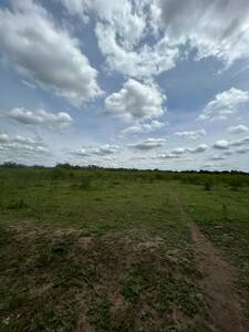 🌾 CAMPO 21 HA SOBRE RUTA 38 – TUCLAME / VILLA DE SOTO – RIEGO, LUZ Y ESCRITURA