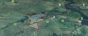 Campo 216 Hect. ganadero y ovino Sauce Corrientes