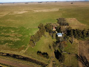 Campo 297 Has. Udaquiola, Provincia de Buenos Aires.