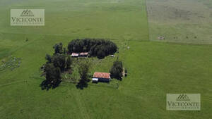 Campo 346 Has. Chascomús Provincia De Buenos Aires.