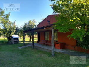 Campo 4,2 Has. Brandsen. Buenos Aires.