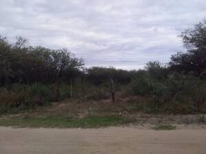 Campo 57 Has En Candelaria