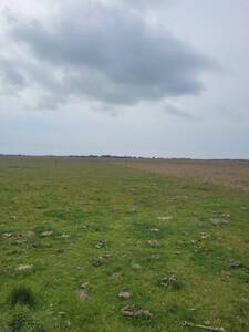 Campo 600 hectareas Dolores