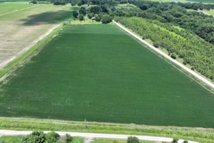 Campo A La Venta, 10 Has En Arkansas, Usa