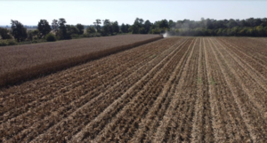 Campo A La Venta, 60 Has En Arkansas