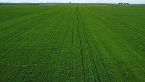 Campo Agrícola 170 Has. San Cayetano, Buenos Aires.