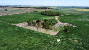 Campo Agrícola De 77 Has En Villanueva.