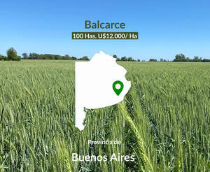 Campo Agrícola En Balcarce. 100 Hectáreas