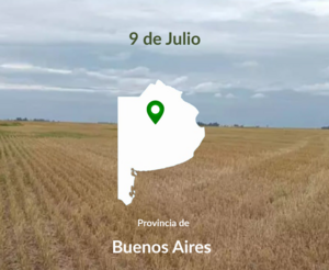 Campo Agrícola En Venta. 170 Has 9 De Julio