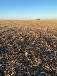 Campo Agrícola En Venta 25 Ha Alcira Gigena