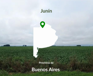 Campo 190 Has . Agrícola Junín Buenos Aires.