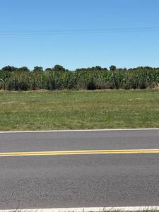 Campo Agrícola Sobre Asfalto - Ruta 12 - 95Ha