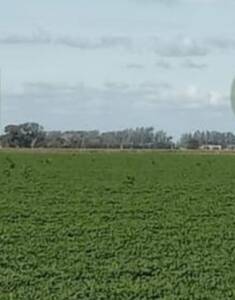 campo agricola