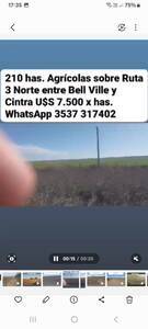 Campo agrícola 