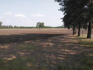 Campo Agricola 110 Hectareas