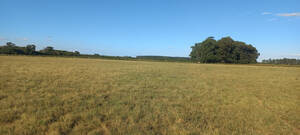 Campo Agricola 162 hectareas Gualeguaychu