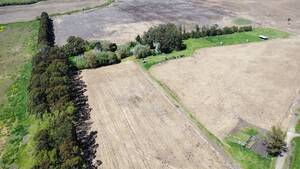 Campo Agrícola 235 Has. Mechongue, Partido de Gral Alvarado, Provincia de Buenos