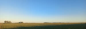 Campo Agricola 295 Hectareas