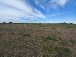 Campo Agricola 48 Hectareas
