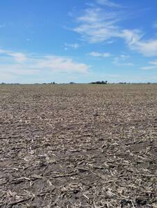 CAMPO AGRICOLA 65 HECTAREAS 