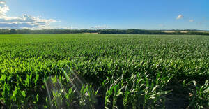 Campo Agricola 68 Hectareas
