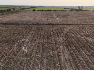 Campo Agrícola, Ataliva, Santa Fe. 51 hectárea.