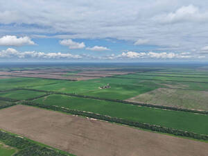 Campo Agricola - Campichuelo 1200 Ha