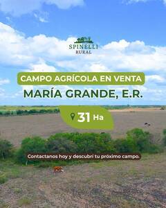 Campo Agricola de 31ha 