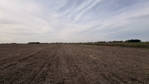 Campo agrícola DE  41 hectáreas en Rueda sur de Santa Fe