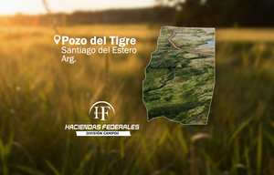 Campo agrícola de 500 ha en venta en Pozo del Tigre, Santiago del Estero