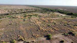 Campo Agrícola De 850 Hectáreas  Jocolí - Mendoza 